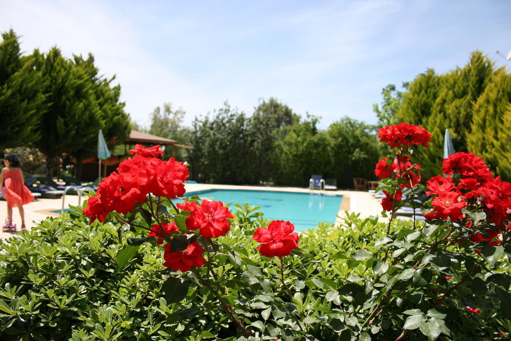 Paradise Garden Gumusluk Evleri Lejlighedshotel Eksteriør billede