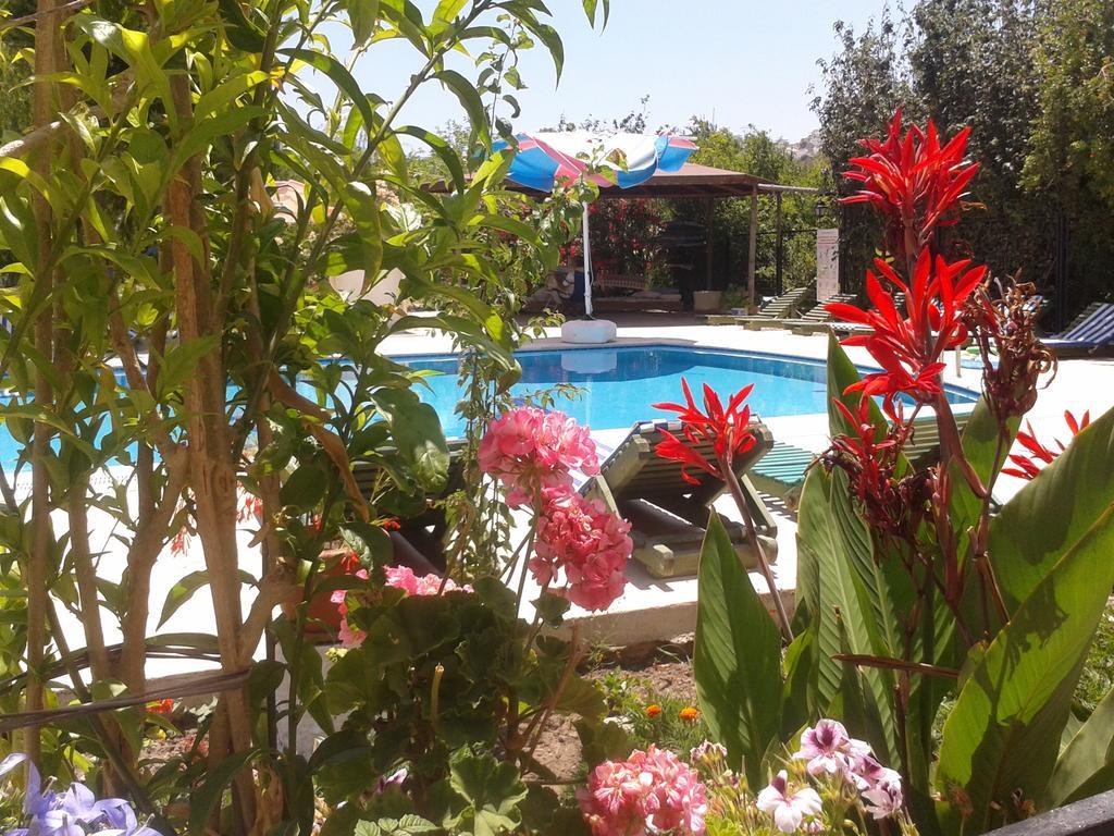 Paradise Garden Gumusluk Evleri Lejlighedshotel Eksteriør billede